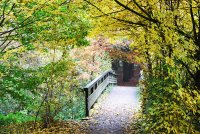 Herbstspaziergang