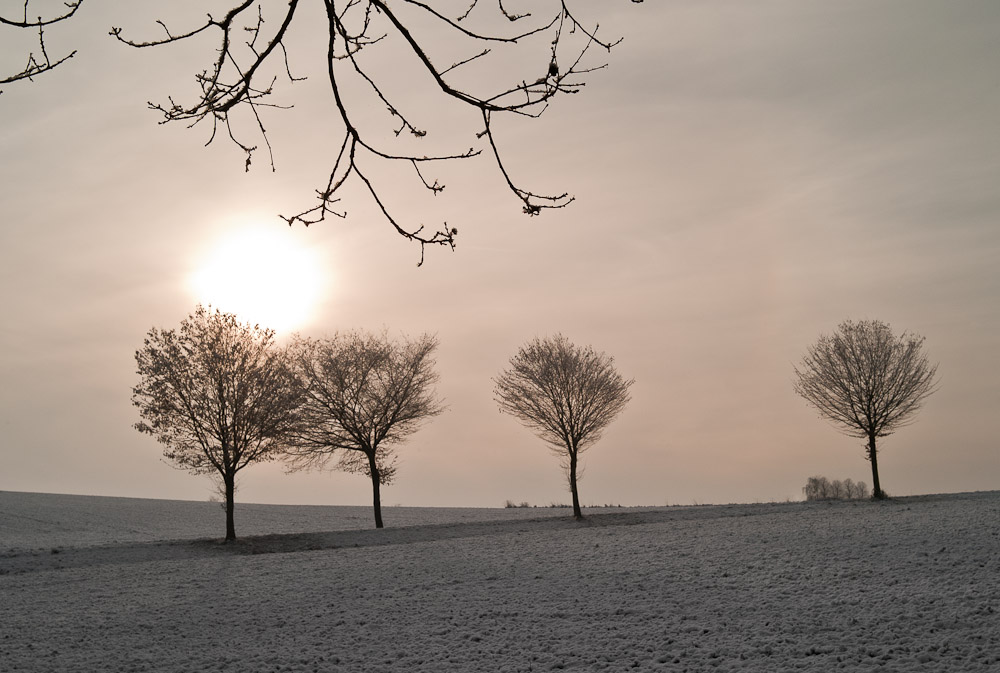 Der erste Schnee