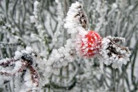 Winterimpressionen_2