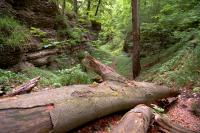 Weg zur Bielsteinhöhle