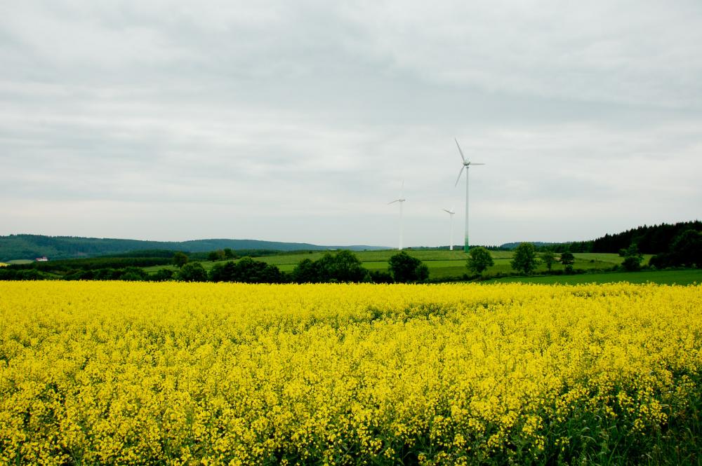 Windräder allerorts