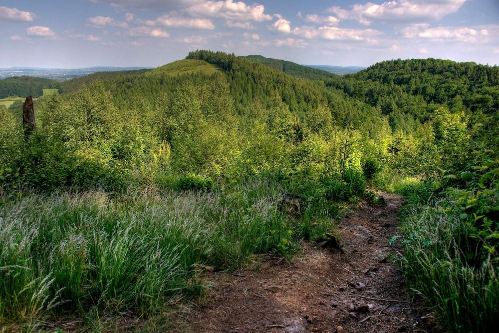 Blick vom Tönsberg