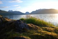 Gräser mit Ausblick