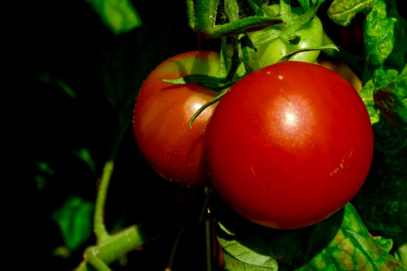 2 Tomaten