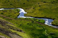 Flusslandschaft, Island