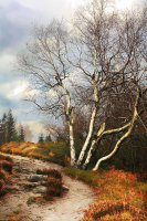 Teutoburger Wald im Herbst