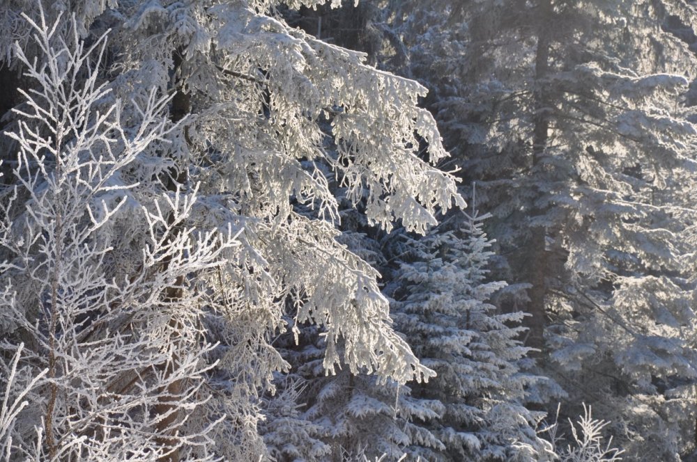 Winter in den Bergen (kalt)