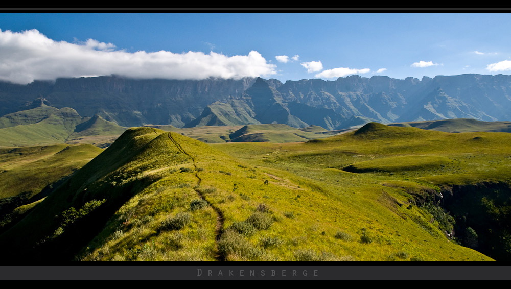 Drakensberge