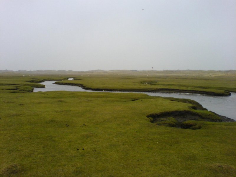 Winter am Ellenbogen auf Sylt