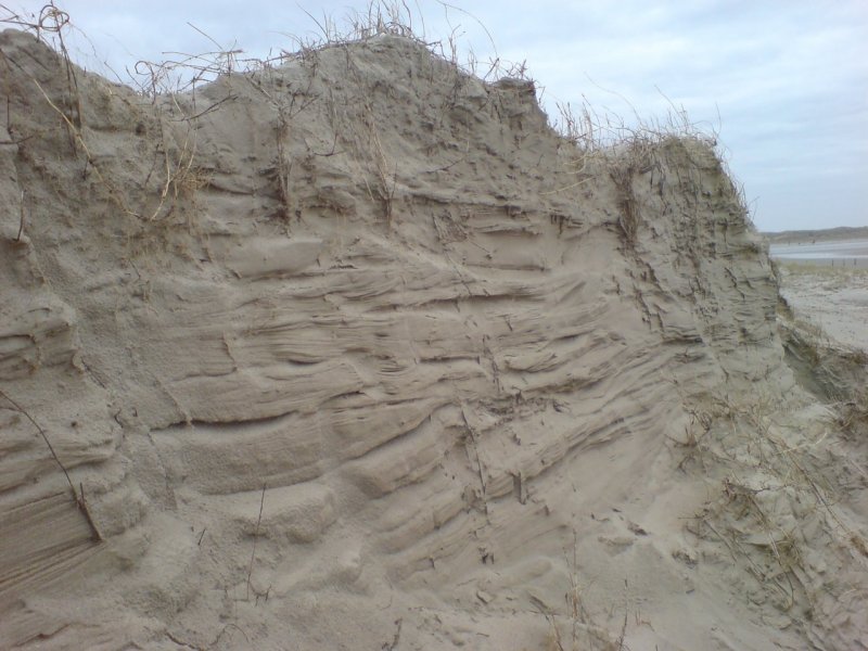 Wind und Düne auf Rømø