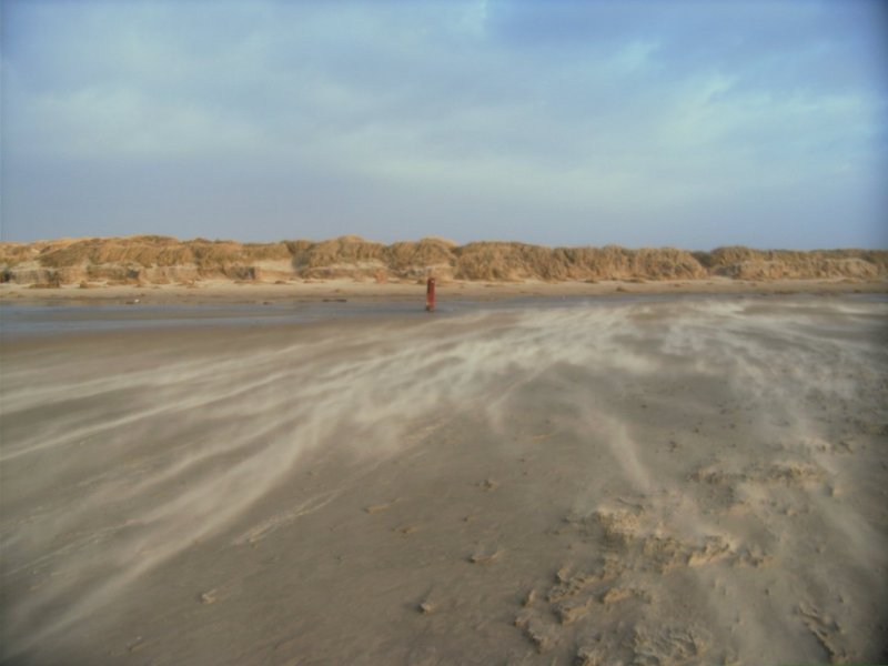 Wind und Strand auf Rømø