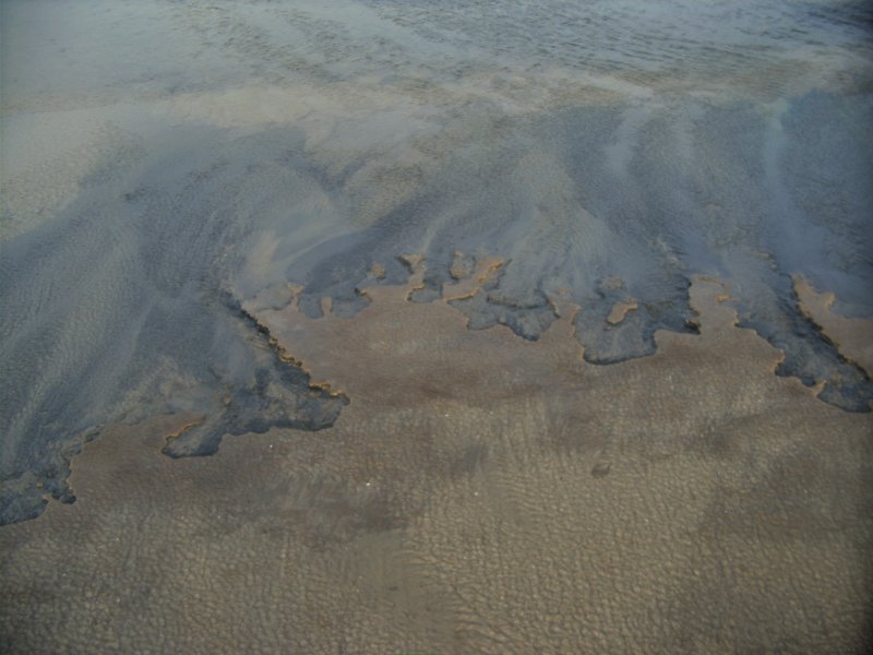 Meer und Strand auf Rømø