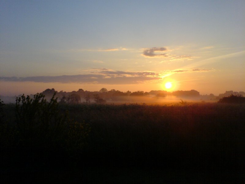 Sommermorgen bei Elsen