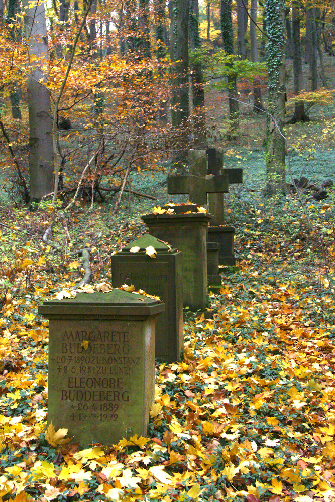 Friedhof