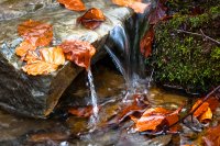 Herbstgeplätscher