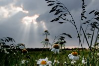 Vor dem Sturm