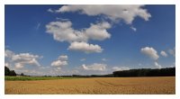 Panorama-Sommerfeld-in-Hörstmar